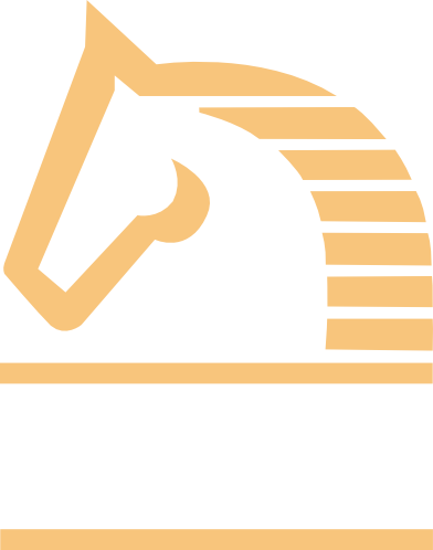 Tattini Riding Romania logo
